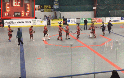 2015 World Outdoor Ball Hockey Championships